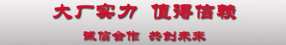 大廠家實(shí)力